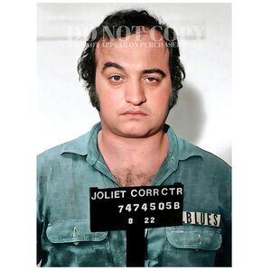 John Belushi Mugshot Photograph 11 X 15 | Blues Brothers Mug Shot | Poster Print